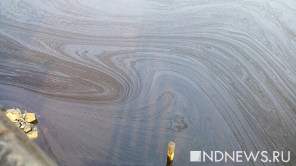 На реке Миасс в центре Челябинска вновь обнаружили гигантское нефтяное пятно На реке Миасс в центре Челябинска вновь обнаружили гигантское нефтяное пятно