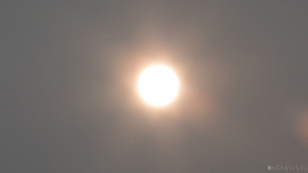 В Токио 10 дней держится рекордная жара В Токио 10 дней держится рекордная жара