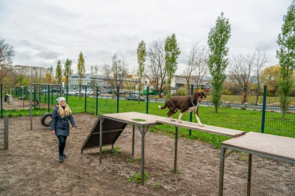 Игровые, дрессировочные и прогулочные: что предлагает новый ГОСТ для собачьих площадок в городах Игровые, дрессировочные и прогулочные: что предлагает новый ГОСТ для собачьих площадок в городах