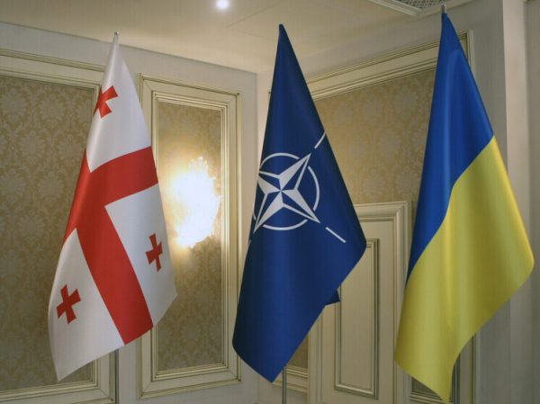 Инсайдер заявил, что Трамп поставит крест на вопросе принятия Украины в НАТО