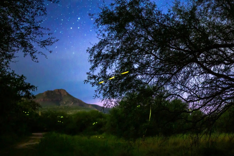 Просто космос: 15 лучших астрофотографий года с конкурса Capture the Dark 2025