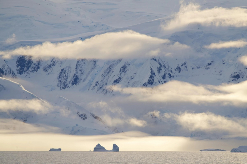 11 лучших фото дикой природы и людей с премии Sony Alpha Awards 2025