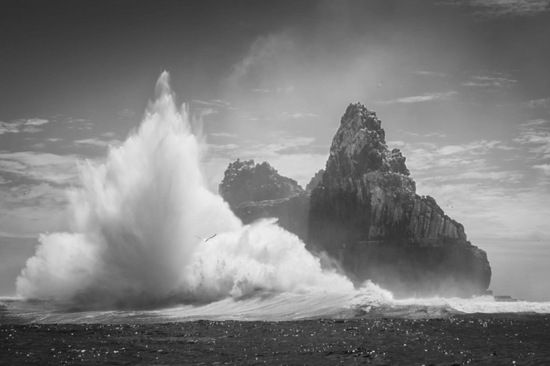 11 лучших фото дикой природы и людей с премии Sony Alpha Awards 2025