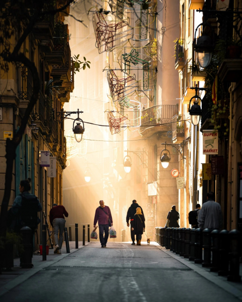 11 лучших фото дикой природы и людей с премии Sony Alpha Awards 2025