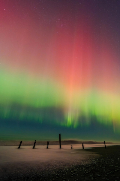 11 лучших фото дикой природы и людей с премии Sony Alpha Awards 2025