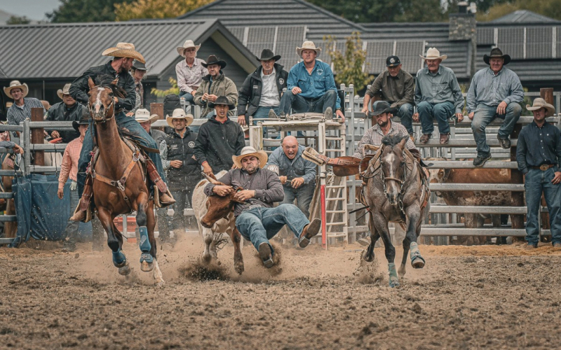 11 лучших фото дикой природы и людей с премии Sony Alpha Awards 2025