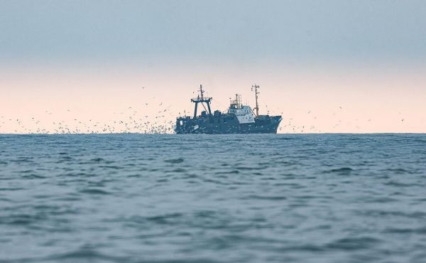 Экс-губернатор Приморья назвал главную проблему рыбной отрасли
Экс-губернатор Приморья назвал главную проблему рыбной отрасли