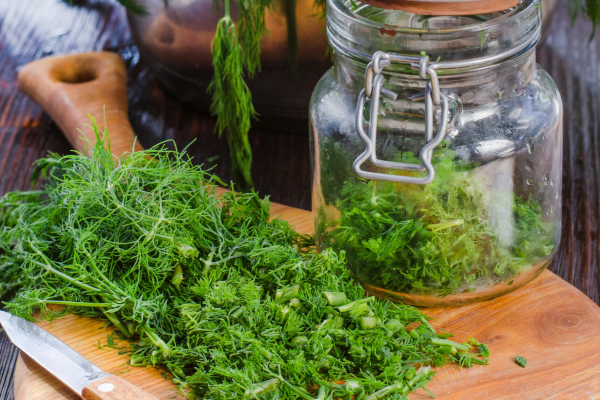 Как заготовить зелень на зиму — не надо сушить, морозить или солить