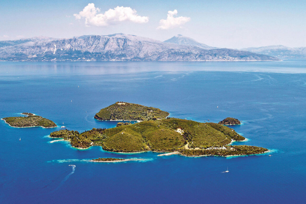 Розы от нарцисса, или что скрывается за дорогими подарками Розы от нарцисса, или что скрывается за дорогими подарками