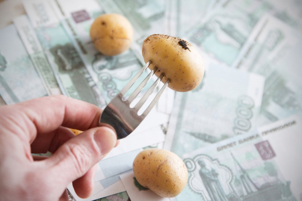 Цены на картофель достигли дна. Что дальше? Цены на картофель достигли дна. Что дальше?