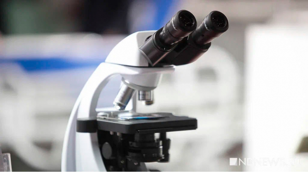 Ученые выяснили особый механизм остеонекроза после перенесенного ковида Ученые выяснили особый механизм остеонекроза после перенесенного ковида