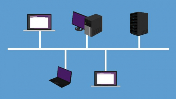 Кэти Вуд ожидает радикального сокращения числа криптовалют Кэти Вуд ожидает радикального сокращения числа криптовалют