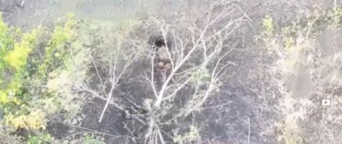 Украинские СМИ: ВС РФ зашли в Купянск через газовую трубу Украинские СМИ: ВС РФ зашли в Купянск через газовую трубу