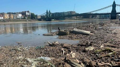 В Лондоне уберут «остров» из 180 тонн влажных салфеток из унитазов В Лондоне уберут «остров» из 180 тонн влажных салфеток из унитазов