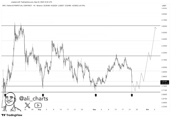 Крупные держатели накапливают XRP, ожидая прорыва до $3,16
Крупные держатели накапливают XRP, ожидая прорыва до $3,16