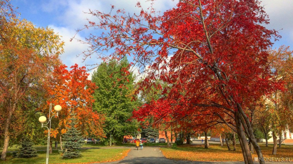 Контрастный душ и куриный суп: врач назвал действенные методы укрепления иммунитета осенью Контрастный душ и куриный суп: врач назвал действенные методы укрепления иммунитета осенью