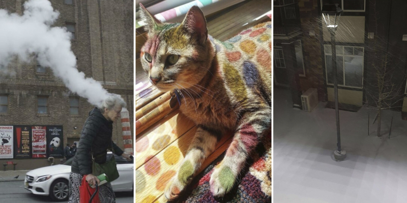 Без фотошопа: в Сети показали 15 забавных кадров, которые кажутся отредактированными