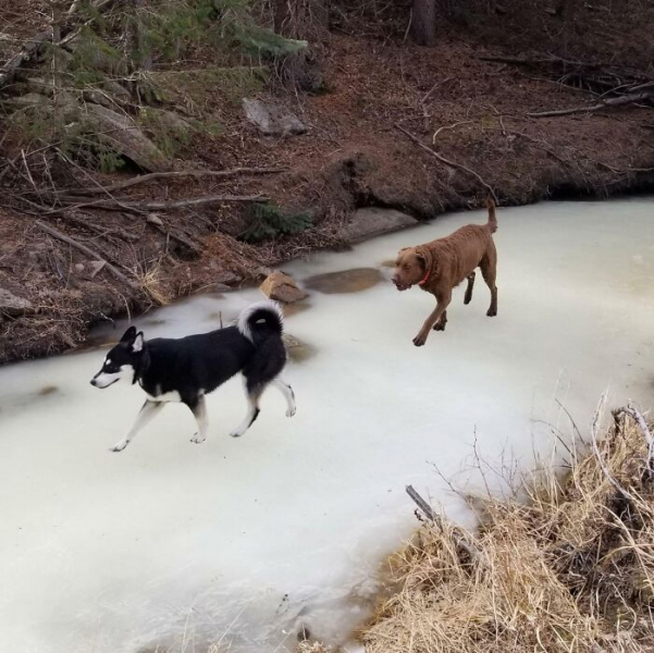 Без фотошопа: в Сети показали 15 забавных кадров, которые кажутся отредактированными