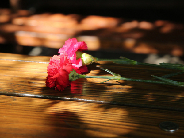 Названа дата похорон актера Анатолия Меньщикова