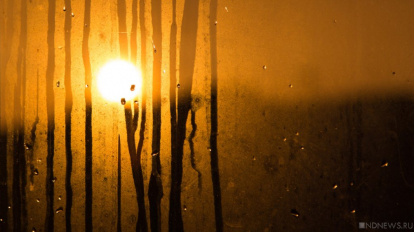 Правила «световой гигиены»: как пережить сокращение светового дня без вреда для здоровья Правила «световой гигиены»: как пережить сокращение светового дня без вреда для здоровья