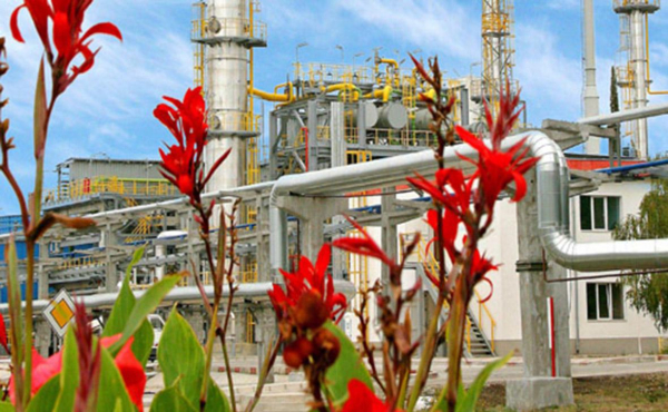 В Болгарии заявили об остатке бензина на месяц на фоне мер против ЛУКОЙЛа
В Болгарии заявили об остатке бензина на месяц на фоне мер против ЛУКОЙЛа