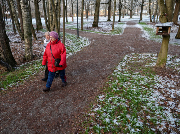 Самый теплый день с 1940 года: Москва 18 ноября может побить температурный рекорд
