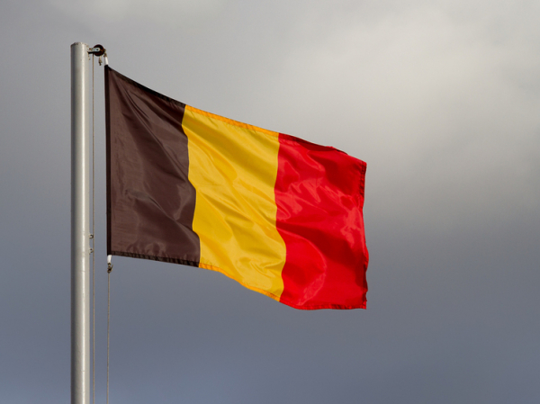 Стала известна позиция Бельгии по использованию замороженных активов России