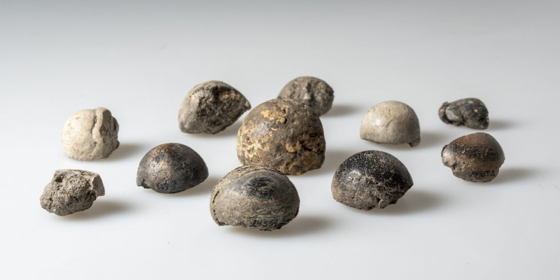 В Швеции нашли уникальные сокровища викингов — мечи, бусы и многое другое